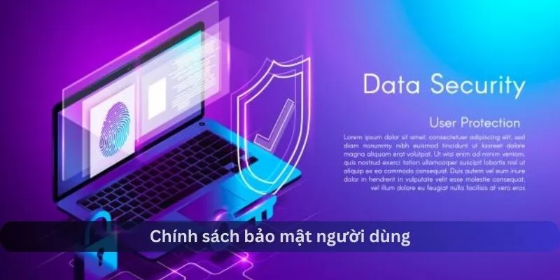 Quyền lợi và trách nhiệm người dùng